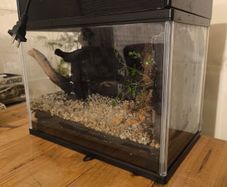 Glass Aquarium Terrarium Tank with Filter & LED Light Turtle Fish Reptile Setup  30cm