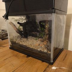 Glass Aquarium Terrarium Tank with Filter & LED Light Turtle Fish Reptile Setup  30cm
