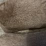 cushion Image 3