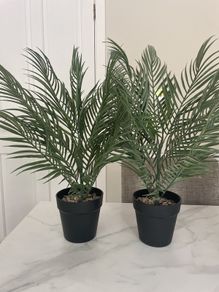Artificial Plants