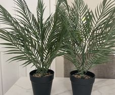 Artificial Plants
