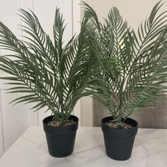 Artificial Plants