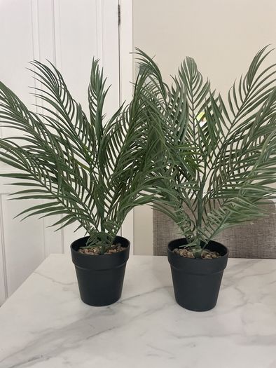 Artificial Plants