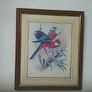 Framed Print of Two Birds Image 3