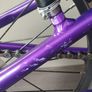 Giant arx 20 kids bike Image 3