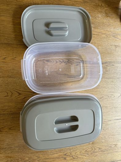 2 large lunch boxes