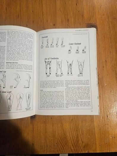A Passion For Donkeys. By Dr Elizabeth D. Sevendsen. Large Volume Paperback In Good Condition.  See Photos For Same.