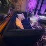 Soft Navy Velvet 2 Seater Sofa Perfect for small spaces Harvey Norman' MISHA'135cm length 75 depth 80height in Cm Image 4