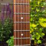 Squier Standard Series Stratocaster Image 9
