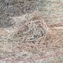 Green hay Image 2
