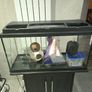 Fish tank and accessories Image 4