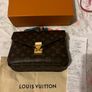LV bag Image 2