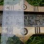 Antique Small Gothic  Brass Letter Slot, Antique Brass Mail Slot Plate Image 6