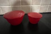 2 Plastic Pudding Bowls