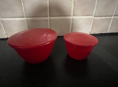 2 Plastic Pudding Bowls