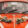 VW Vintage Beetle Image 3