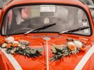 VW Vintage Beetle Image 3