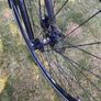 Lady's Bike Image 7