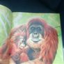 Ian Jackson's Animal Portraits Book Image 9