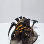 40k Tyranids old one eye Image 2