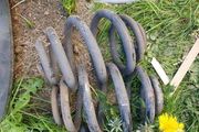 vw sharan / seat alhambra 7m susp springs oem