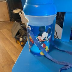 Share Disneyland Paris Popcorn Bucket