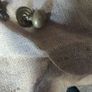8 antique brass handles Image 4