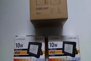 10W Led Floodlight x2