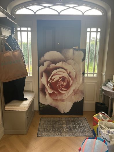 Extra large scatter box rose canvas artwork