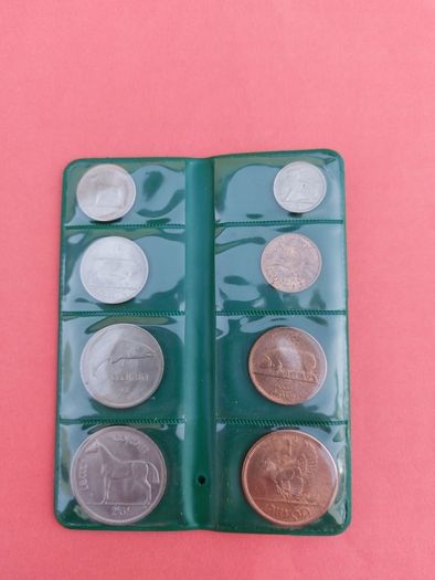 Coins of Ireland 1966 Set