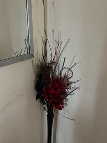 Quick Sell plant