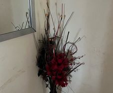 Quick Sell plant