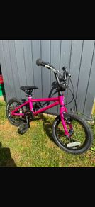 raleigh