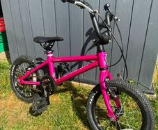raleigh