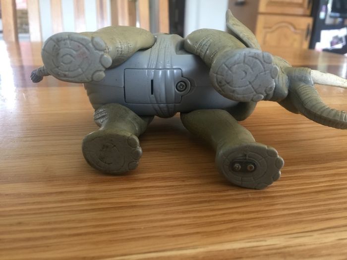 heavy sturdy elephant