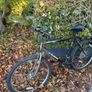 Man's bike going for free Image 3