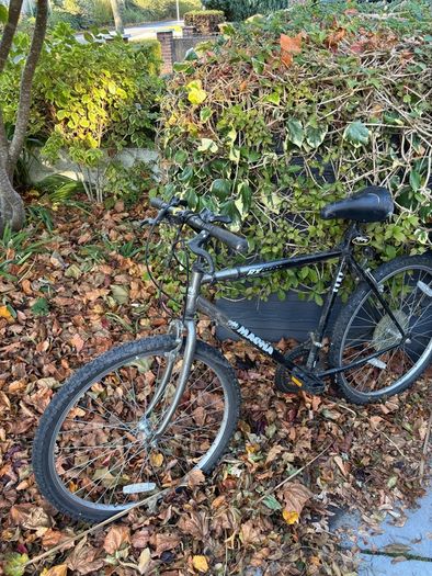 Man's bike going for free