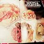 1982. The Sainsbury Book Of Soups And Starters. Image 2