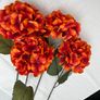 4 Large Hydrangeas Image 3