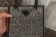 Prada Panier crystal bag