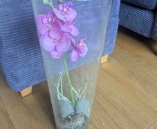 Artifical  orchid