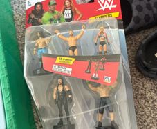 WWE ring