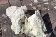 marine rocks