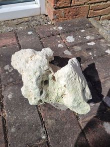 marine rocks