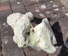 marine rocks