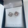 Silver and Crystal Earrings Image 3