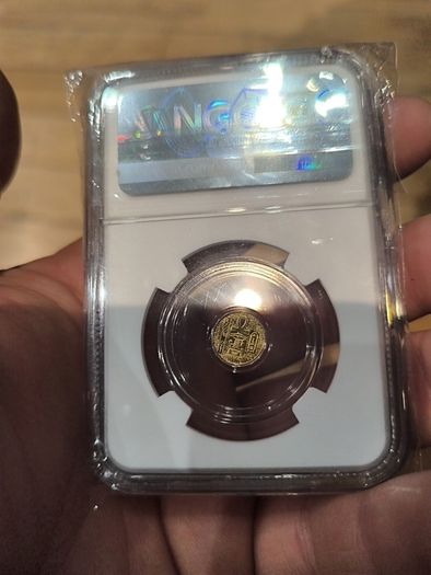 gold Egyptian scarab