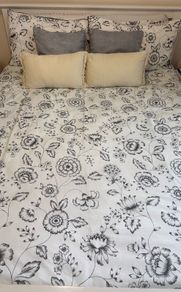 Free Bed Frame
