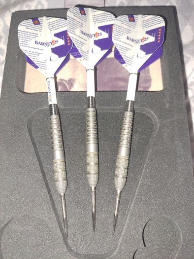 Barney 25 darts