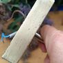 Vintage Massive gilded metal Wall Sconces Image 7
